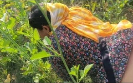 Village Desi Bhabhi Fucked in Mustard Field in Doggy Style Outdoor Sex Desi Bhabhi with Dewar